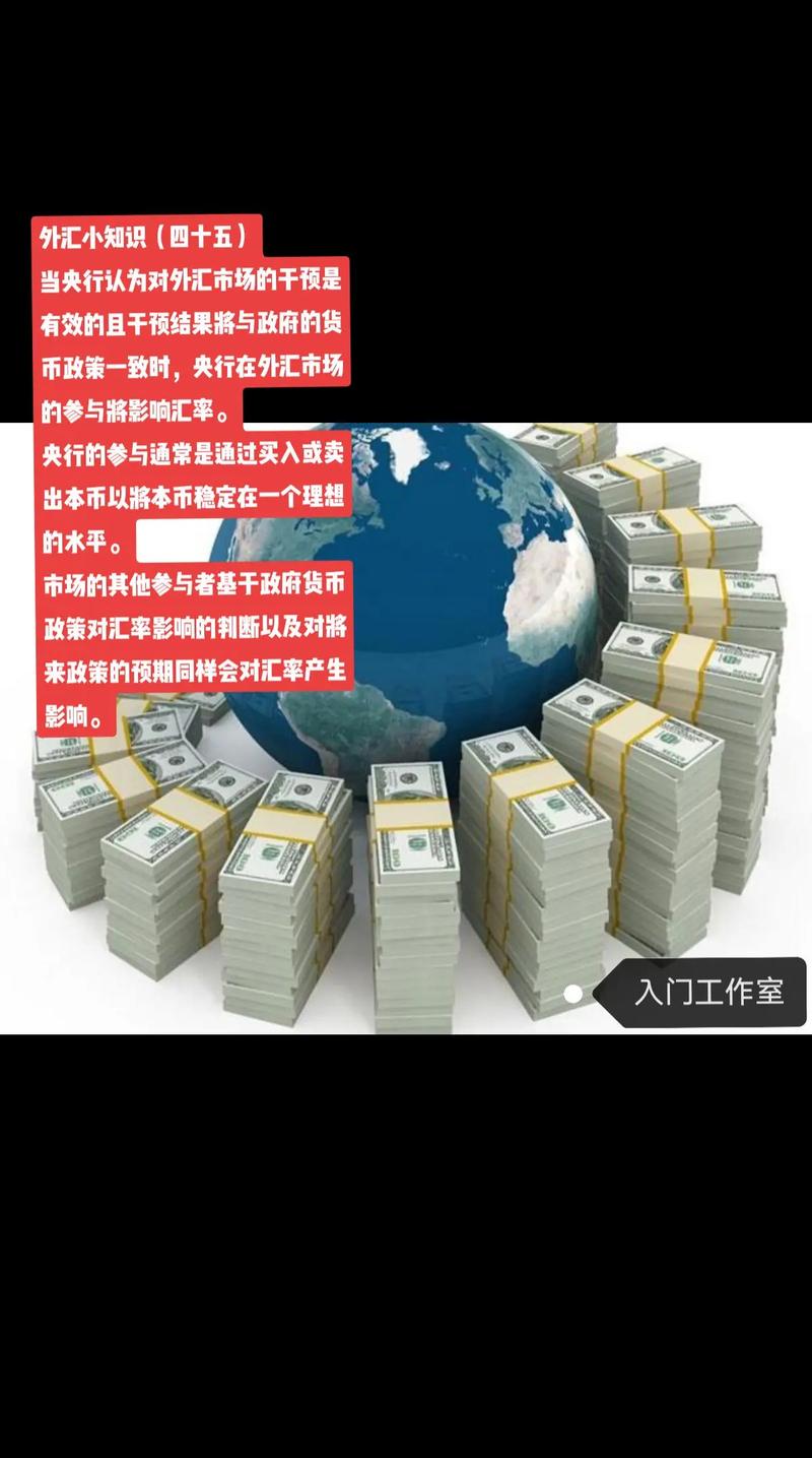 外汇市场干预