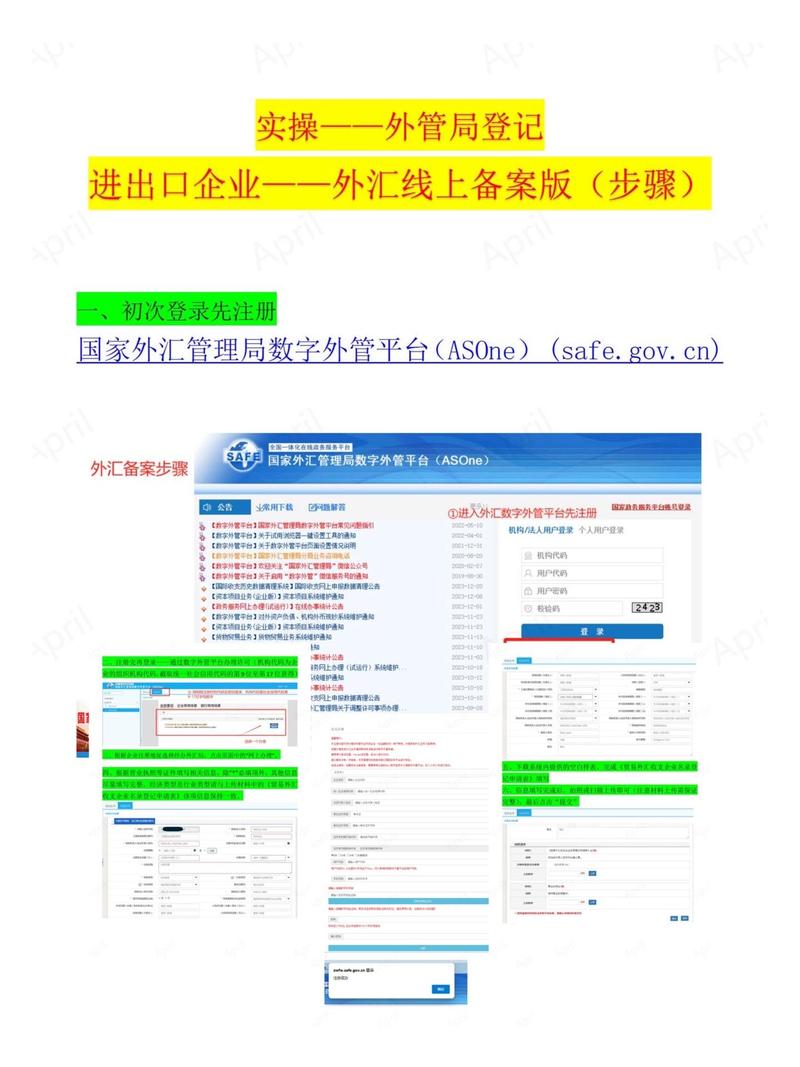 国家外汇管理申报平台