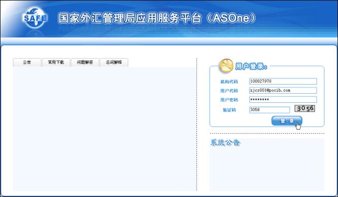 货物贸易外汇监测系统