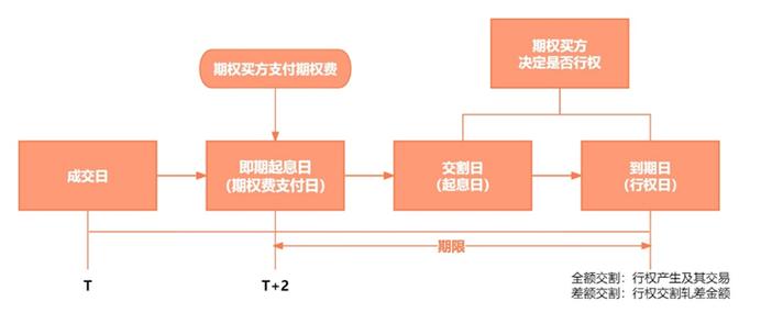 什么是外汇期权
