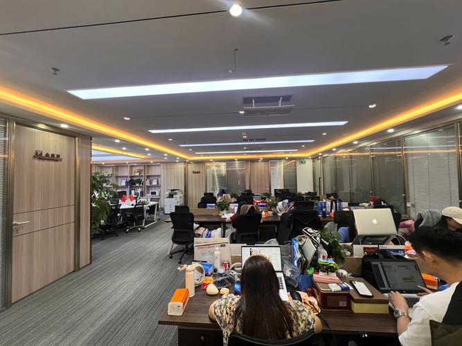 高能投资咨询有限公司怎么样？