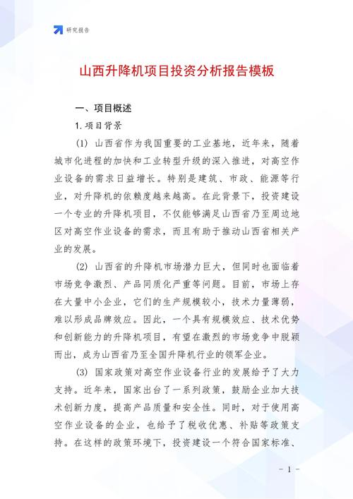 投资分析报告模板