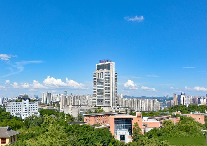 重庆大学创新创业