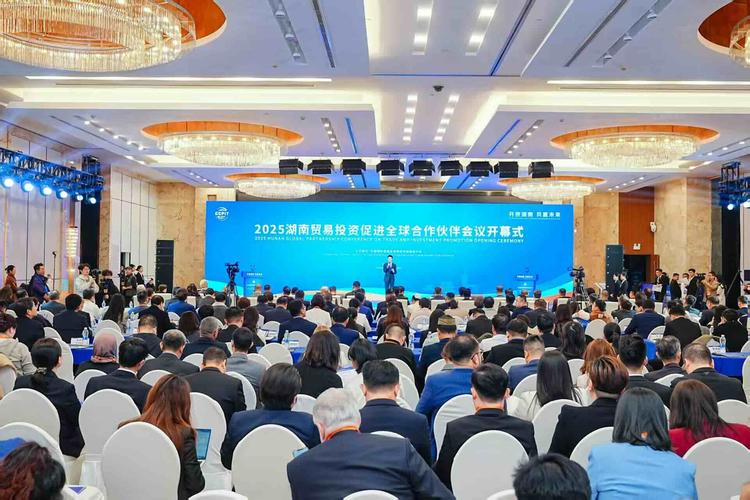 湖南金证投资2999元退回来了吗？