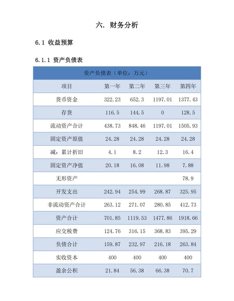 大学生创业计划书财务分析