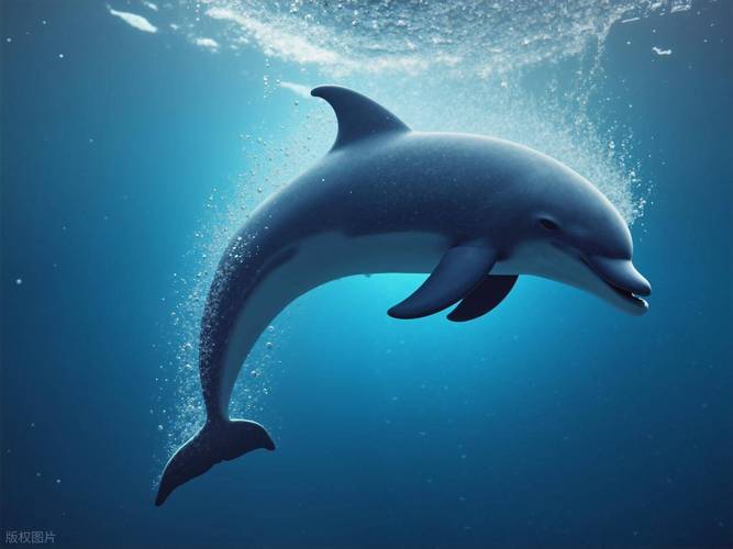 鲸鱼理财安全吗