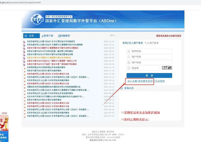 国家外汇管理局网上申报系统