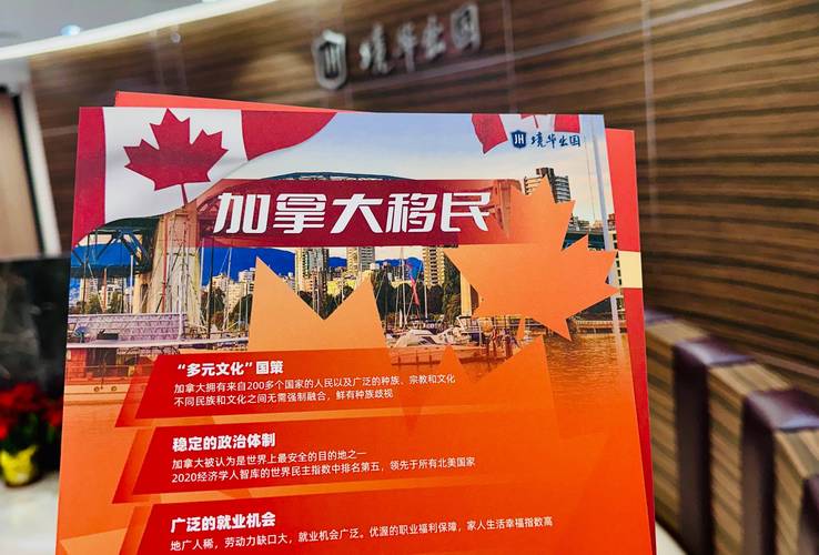 海外投资移民中介