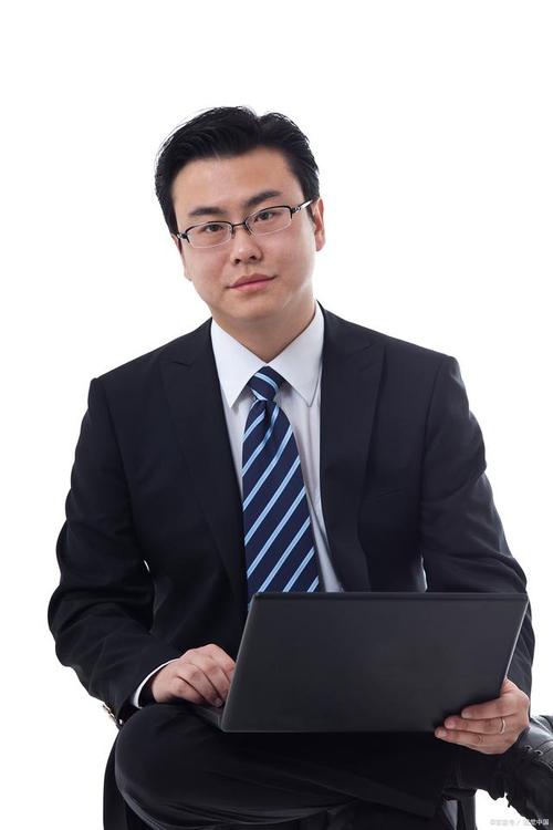 投资项目分析师