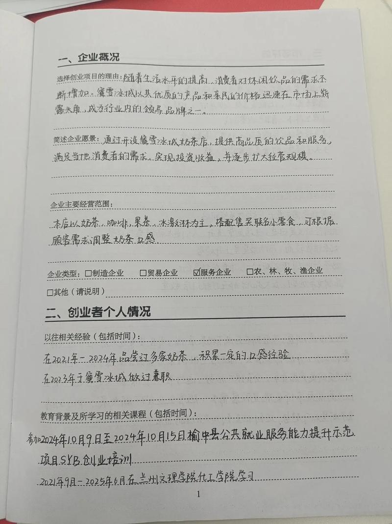 syb创业计划书模板